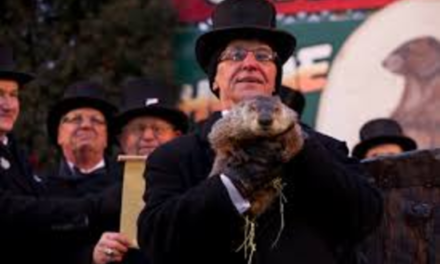Groundhogs day, “It’s just still once a year, isn’t it?”